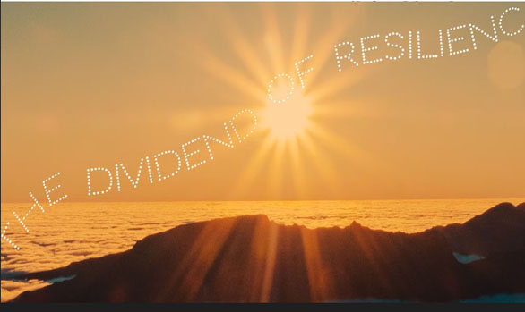 The Dividend of Resilience By Yonas Araya